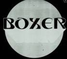 logo Boxer (ARG)